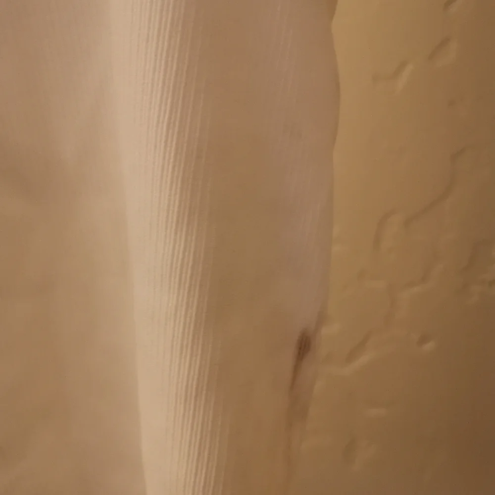 Fletch white Ruffle Ribbed Top Small - Picture 4 of 6